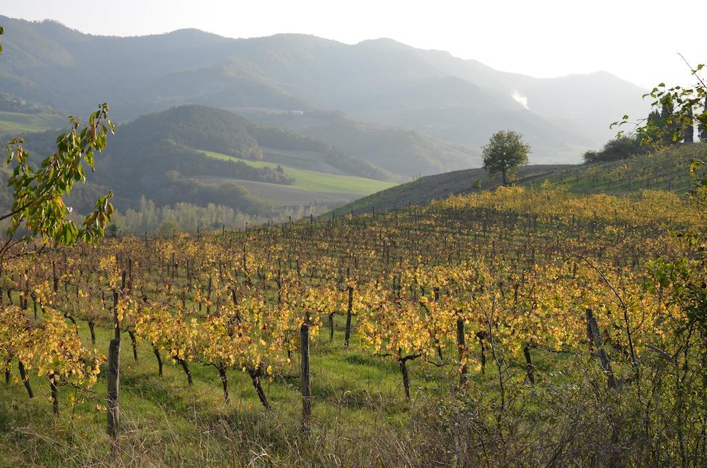 La Cerreta Hotel Rocca San Casciano Kültér fotó