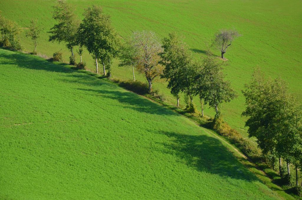 La Cerreta Hotel Rocca San Casciano Kültér fotó